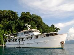 Private Charters