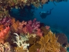 Reef scenic  Raja Ampat Indonesia